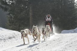 San Bernardino 2008